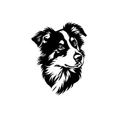 samolepka Border kolie - inteligence a věrnost v jednom pohledu