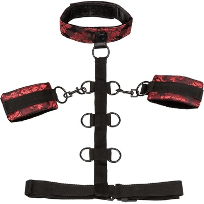 California Exotic Бебешки колан с белезници Beast