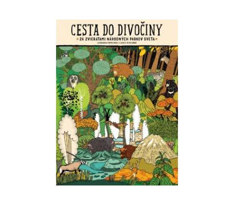 Cesta do divočiny