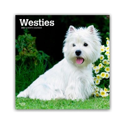 Browntrout Verlags GmbH West Highland White Terriers - Westhighland White Terrier - Westies 2026 - 16-Monatskalender | BrownTrout Publishers Inc
