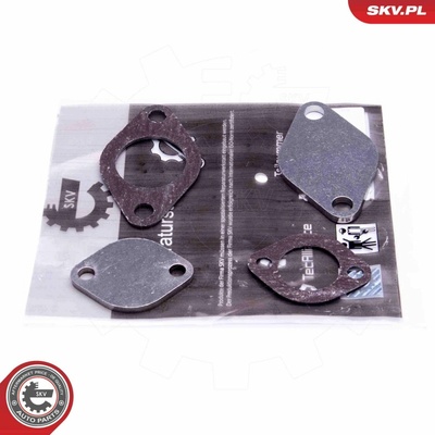 Súprava na opravu, ventil AGR ESEN SKV 14SKV561 14SKV561