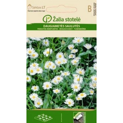 Seklos Бели Парички Bellis perennis