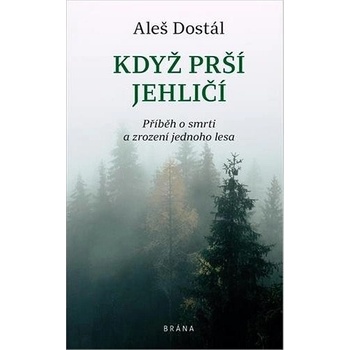 Když prší jehličí - Dostál Aleš