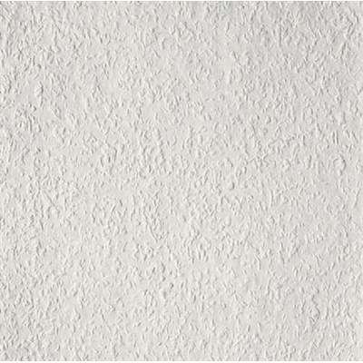 Vliesové přetíratelné tapety Rauhfaser Elegance 1000305 rozměr 18,00 m x 0,53 m = 9,54 m2 Erfurt