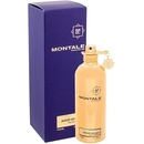 Montale Aoud Velvet parfémovaná voda unisex 100 ml