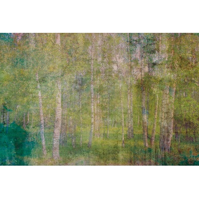 DIMEX MS-5-0351 vliesová fototapeta rozměry 375 x 250 cm
