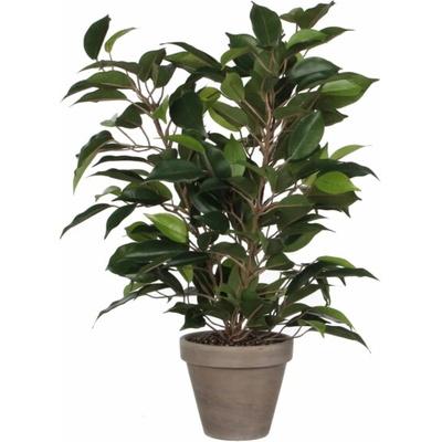 Slída Dekorace Umělá rostlina Fíkus Natasja Zelená V 40 cm, O: 30 cm