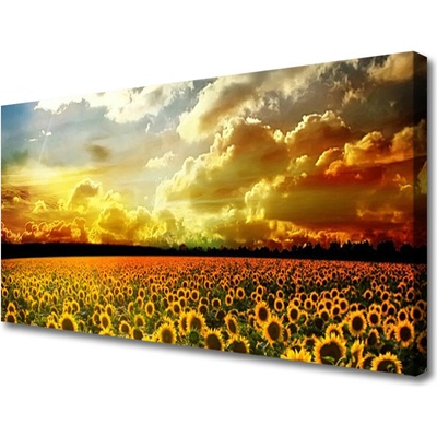 Obraz Canvas Pole slnečníc krajina 100x50 cm