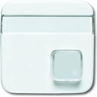 Busch-Jaeger 2CKA001582A0345