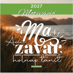 Lizzycalendar Стенен календар LIZZYCALENDAR 300x600 мм, вертикален, „Мотивация 2027 (7540227003)