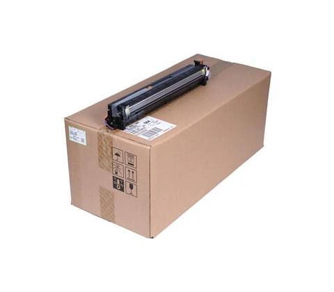 Ricoh D2393063 - originální