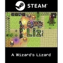 A Wizard's Lizard