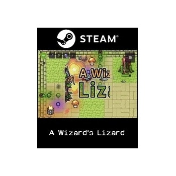 A Wizard's Lizard