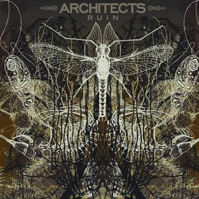 Architects - Ruin černá LP