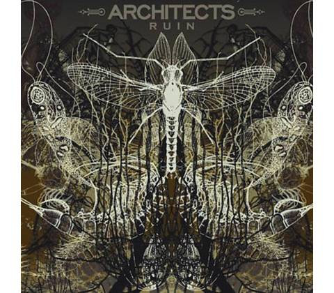 Architects - Ruin černá LP
