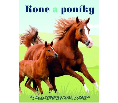 Kone a poníky