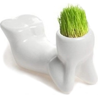 Happy Bonsai MIND-4 Keramický květináč MUŽÍK s živou bonsai trávou 9 x 5 x 5 cm bílý