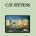 Cat Stevens - Teaser And The Firecat (LP) (602435996547)