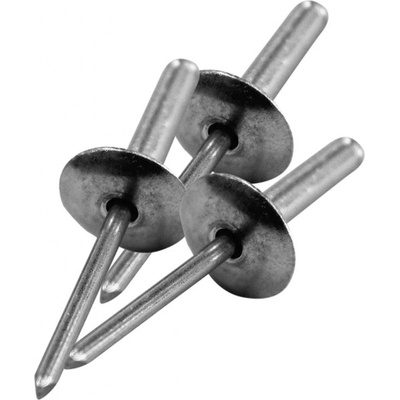 PILECKÝ Nýty pro PILWOOD 4,8 x 25 mm, hl. 16 mm, 50 ks