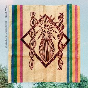 The Mukherjee Development - Burnin' Time (Limited Edition) (LP) (5707471080412)