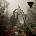 Ladytron - Paradises (Cardboard Sleeve) (CD) (0067003180825)