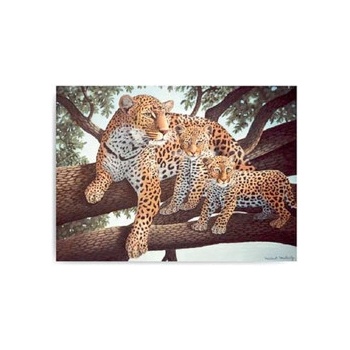 Malování podle čísel Leopard s mláďaty