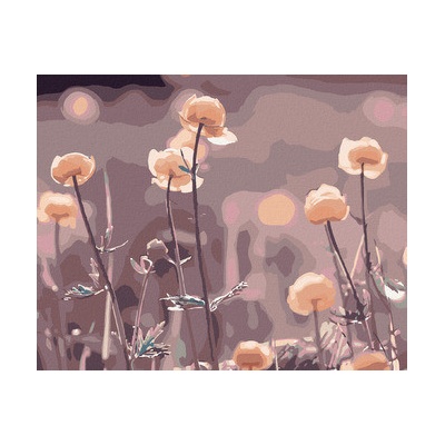 Zuty Malování podle čísel JARNÍ PŘÍRODA