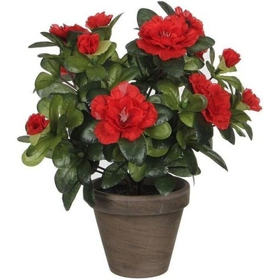 Umělá rostlina Azalka, 27 cm, červená 950332