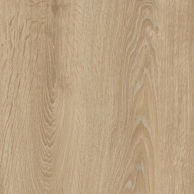 IVC Logitex Ultimate 55 Elias T44 4 m 1 m²