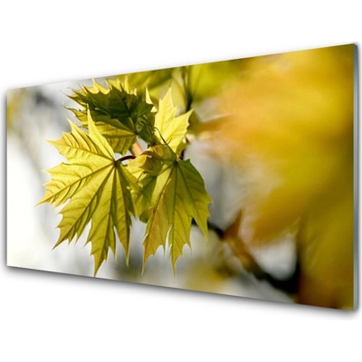 Obraz na skle Listy Rostlina 100x50 cm