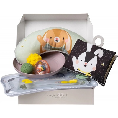 Taf Toys Бебешки игрален комплект Taf Toys - Зайчето Джени, 7 части (TT13435)