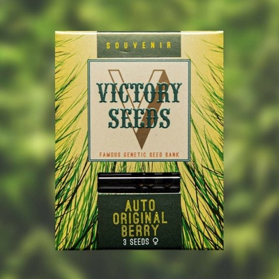 Victory Seeds AUTO Original Berry semena neobsahují THC 5 ks