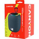 CANYON BSP-8 (CNE-CBTSP8G)