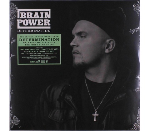 BRAINPOWER - DETERMINATION LP