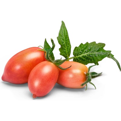 VÉritable (Франция) Пълнител (лингот) Pink Mini Tomato за настолна градина Véritable® - розови мини домати (VLIN-L5-Tom052)