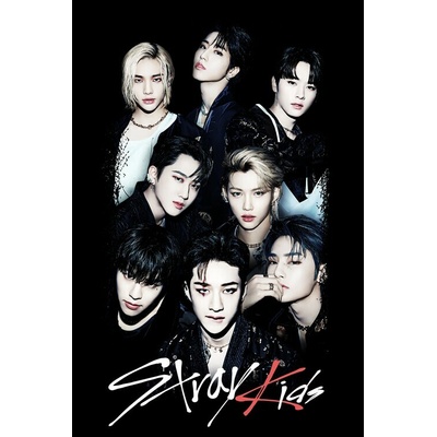Plakát, Obraz - Stray Kids - SKZ Members, 61 × 91.5 cm