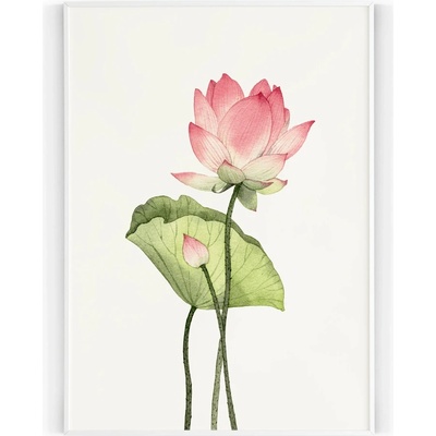 Plakát / Obraz Zen A4 - 21 x 29,7 cm Tiskové plátno Bez okraje – Zbozi.Blesk.cz