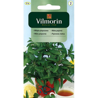Máta peprná Vilmorin Classic