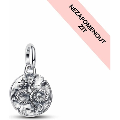 Pandora 793976C01