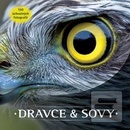 Dravce a sovy