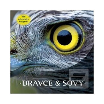 Dravce a sovy