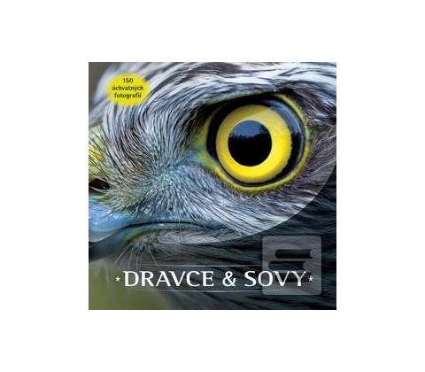 Dravce a sovy