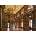 Dino - Puzzle Philosophical hall - 1 000 piese