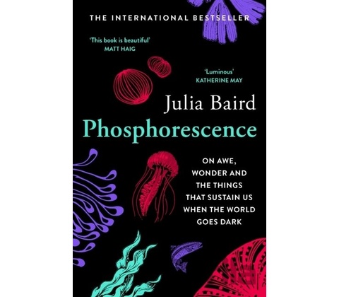 Phosphorescence - Julia Baird