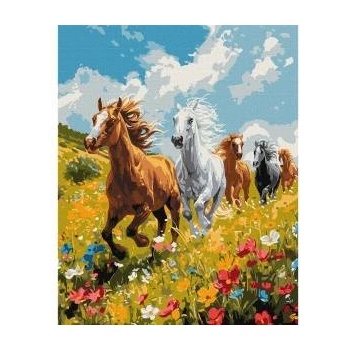 Ideyka Painting by numbers - Field harmony 40x50cm