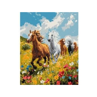 Ideyka Painting by numbers - Field harmony 40x50cm