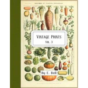 Vintage Prints: Vol. 3 | E. Bell (ISBN: 9781986621861)