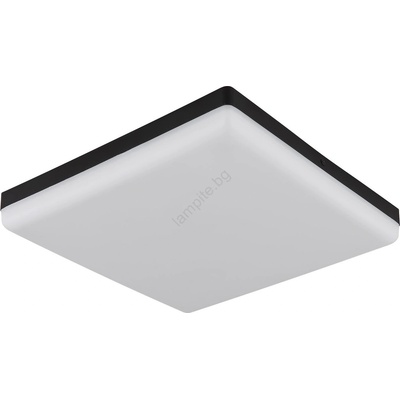 GLOBO MATTHEW 12388-24