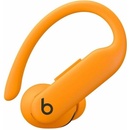 Apple Beats Powerbeats Pro 2