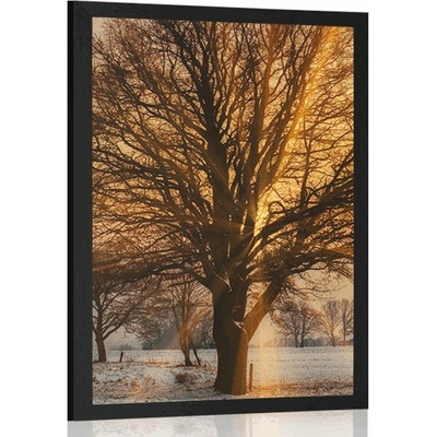 Plakát strom v zasněžené krajině - 20x30 silver